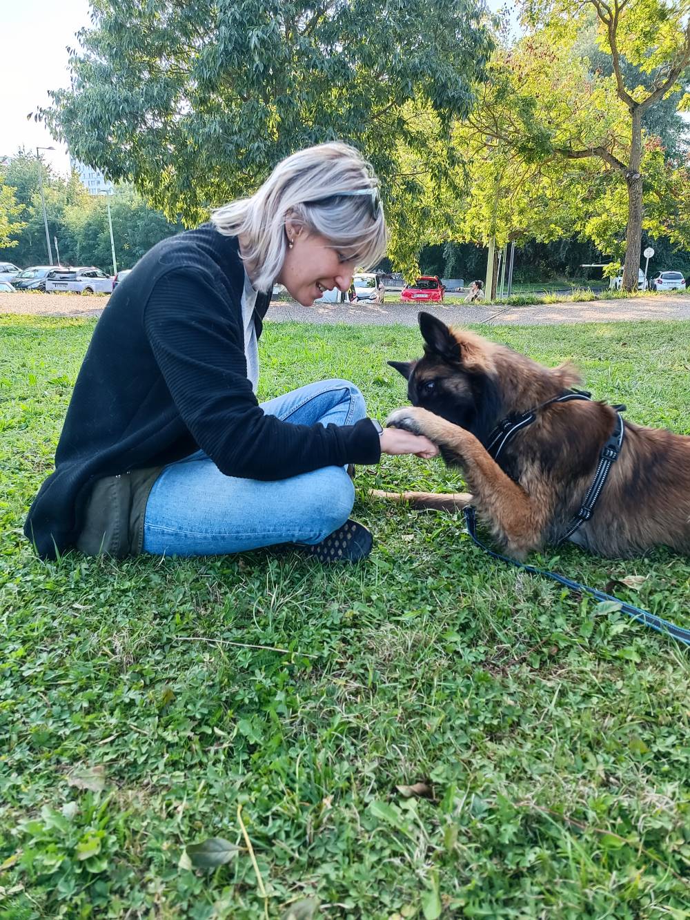 chien (18)