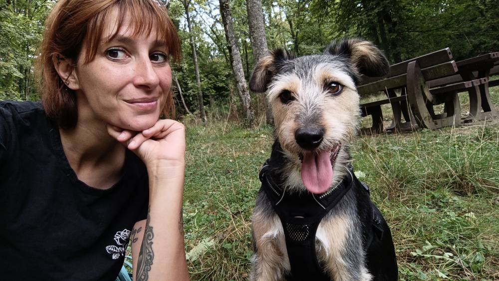 chien (44)