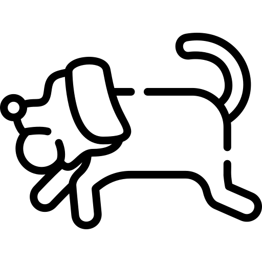 dog (1).png