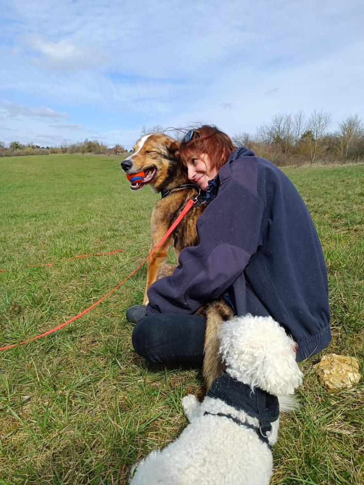 Eve et les chiens (9)